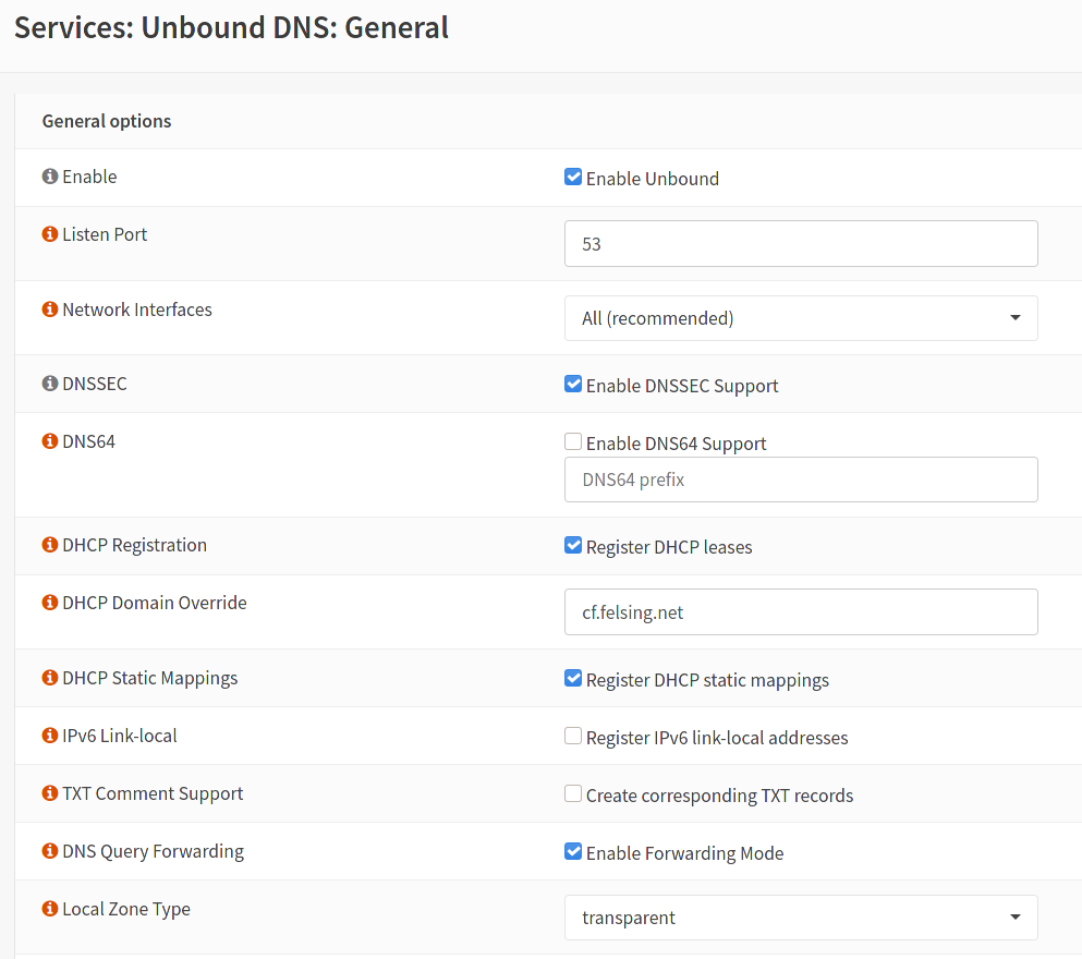 OPNsense DNS Set Up